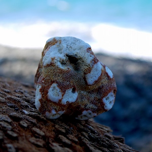 Pierre sur noix de coco sur une plage balinaise - Bali  - collection de photos clin d'oeil, catégorie clindoeil